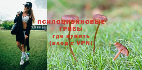 синтетический гашиш Алексеевка