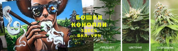 синтетический гашиш Алексеевка