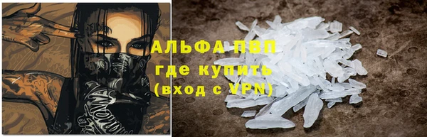 крисы Абаза